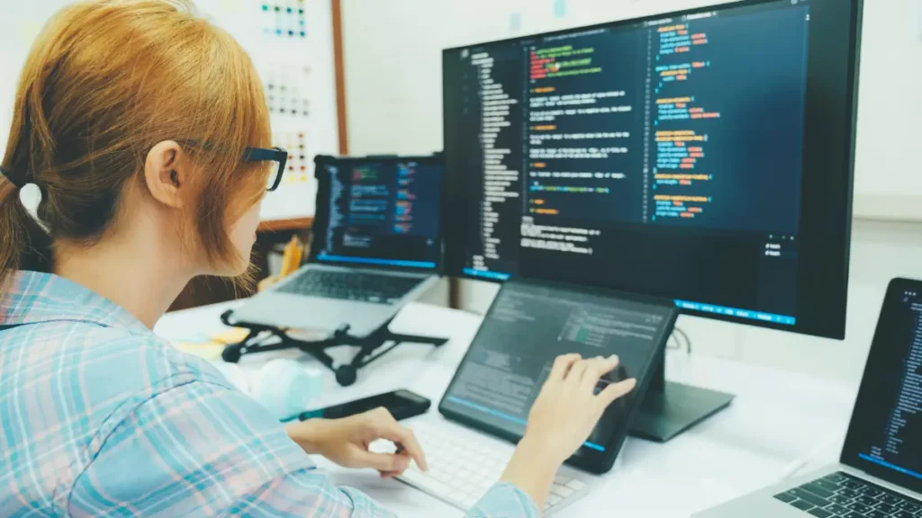 apa itu software tester