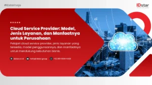 Cloud Service Provider: Model, Jenis Layanan, dan Manfaatnya untuk Perusahaan
