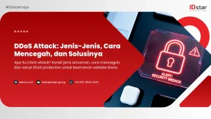 DDoS Attack: Jenis-Jenis, Cara Mencegah, dan Solusinya